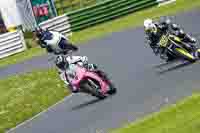 enduro-digital-images;event-digital-images;eventdigitalimages;mallory-park;mallory-park-photographs;mallory-park-trackday;mallory-park-trackday-photographs;no-limits-trackdays;peter-wileman-photography;racing-digital-images;trackday-digital-images;trackday-photos